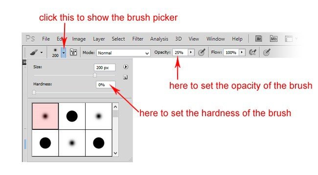 step4d step4d