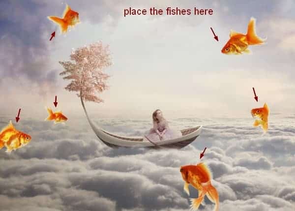 fish28 fish28