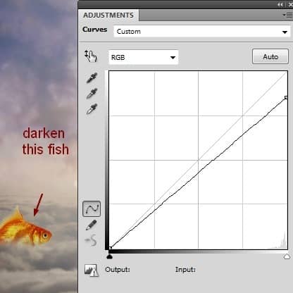 fish29 fish29
