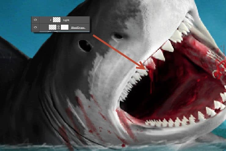 Featured image of post Imagens De Dente De Tubarão / Dente de tubarão tigre ▼.