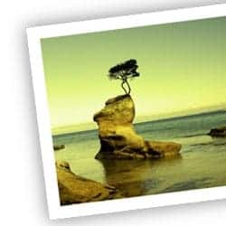 Manipulate an Image with Scripting