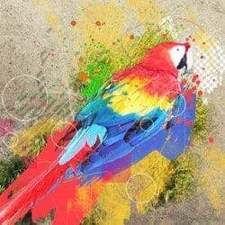 How to Create an Abstract Photo Manipulation