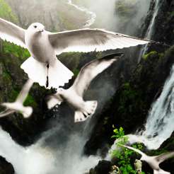 Blissful Landscape Photo Manipulation