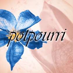 Potpourri Photoshop Brushes
