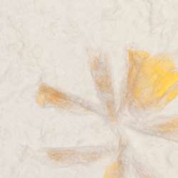 Washi Textures