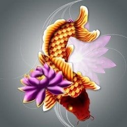 How to Draw a Koi Fish in Photoshop