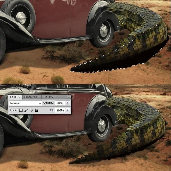 5d 5d