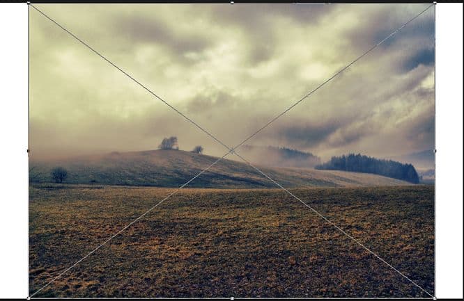 image005 image005