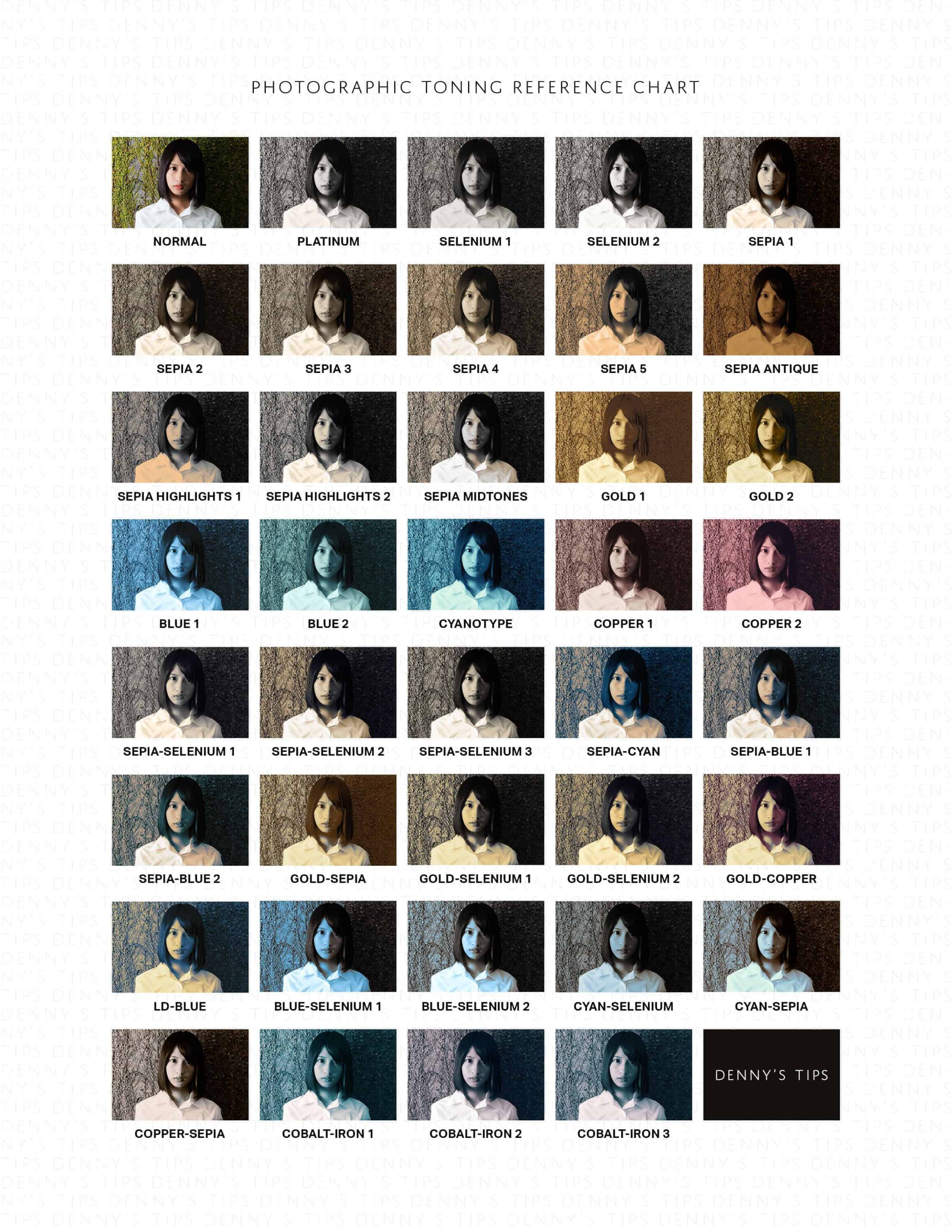 Photoshop's Hidden Photographic Toning Presets