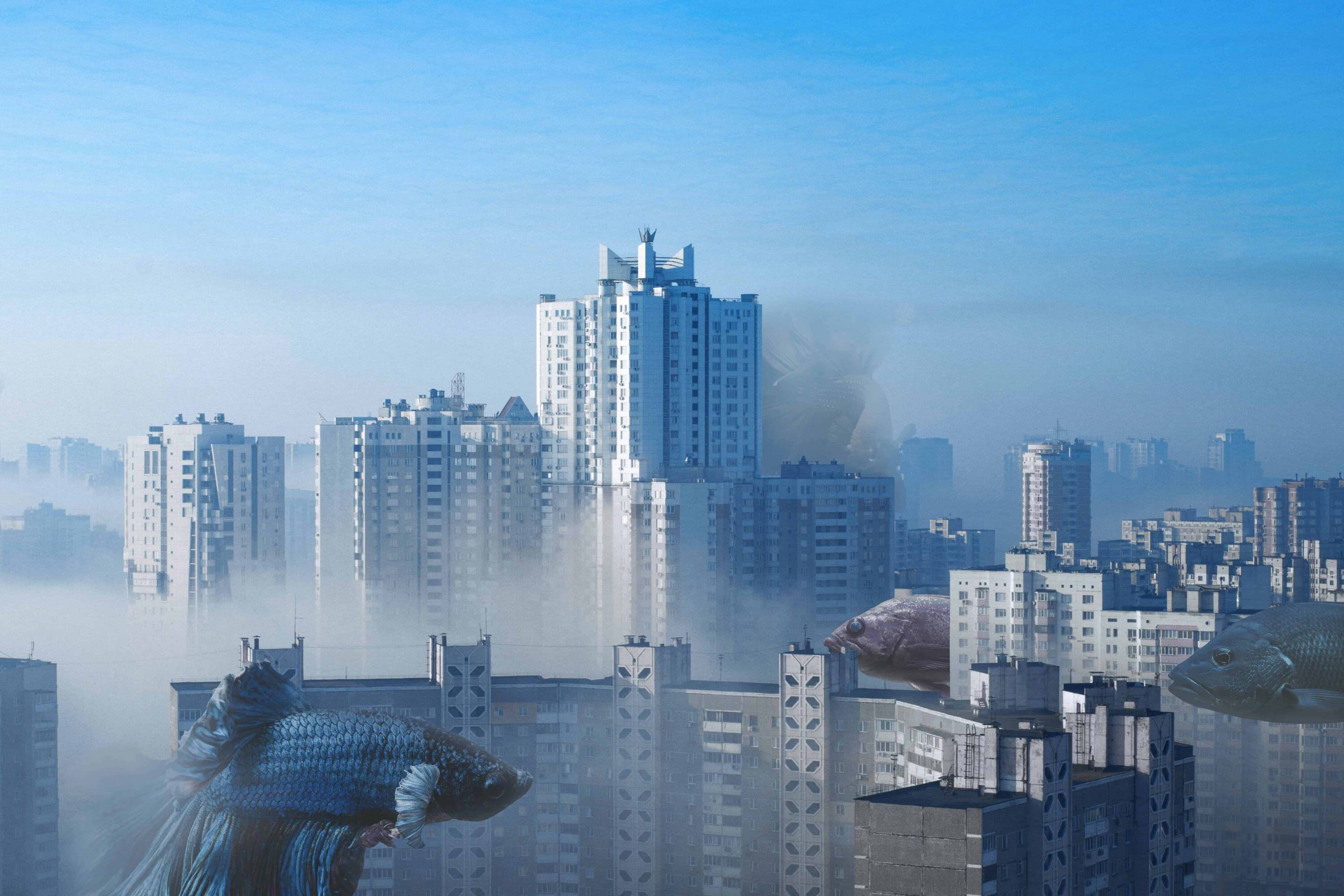 Create a Surreal Fish City Photoshop Tutorial