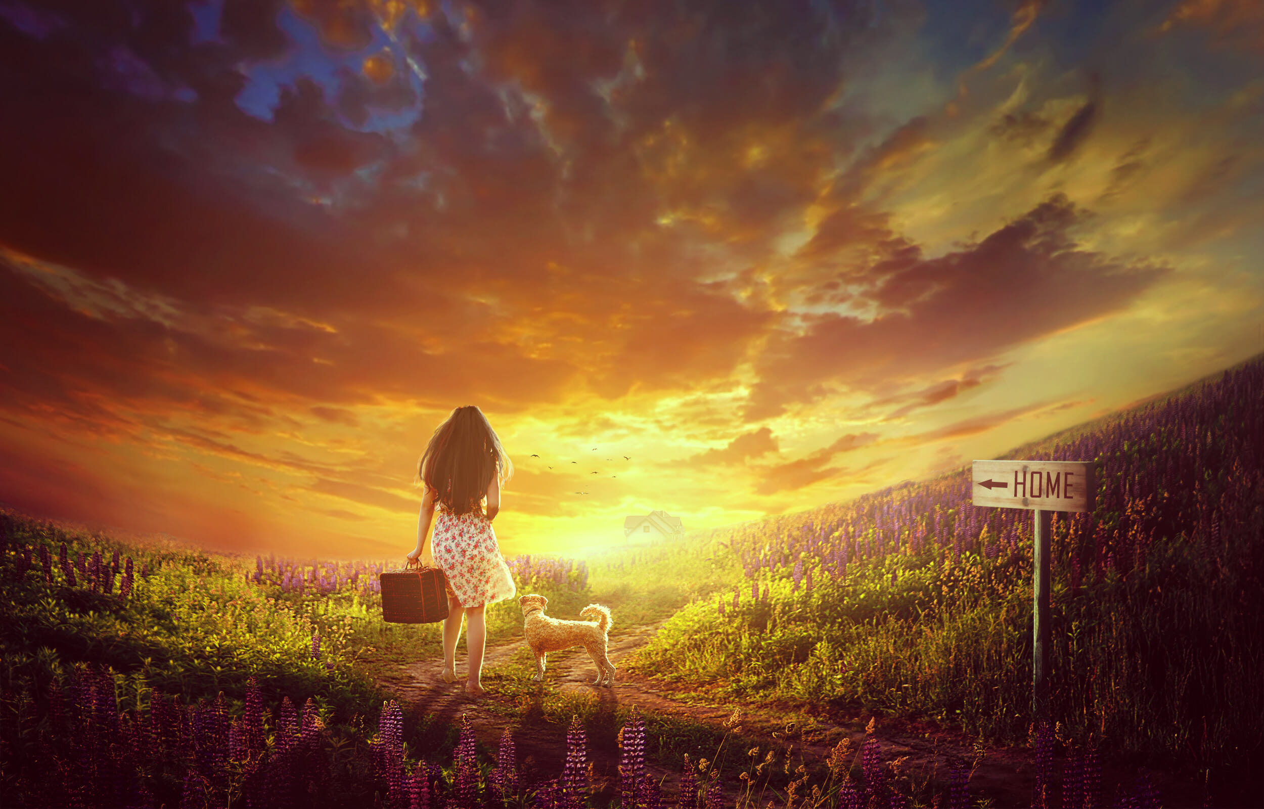 How to Create an Emotional Sunrise Scene Photo Manipulation with Adobe Photoshop