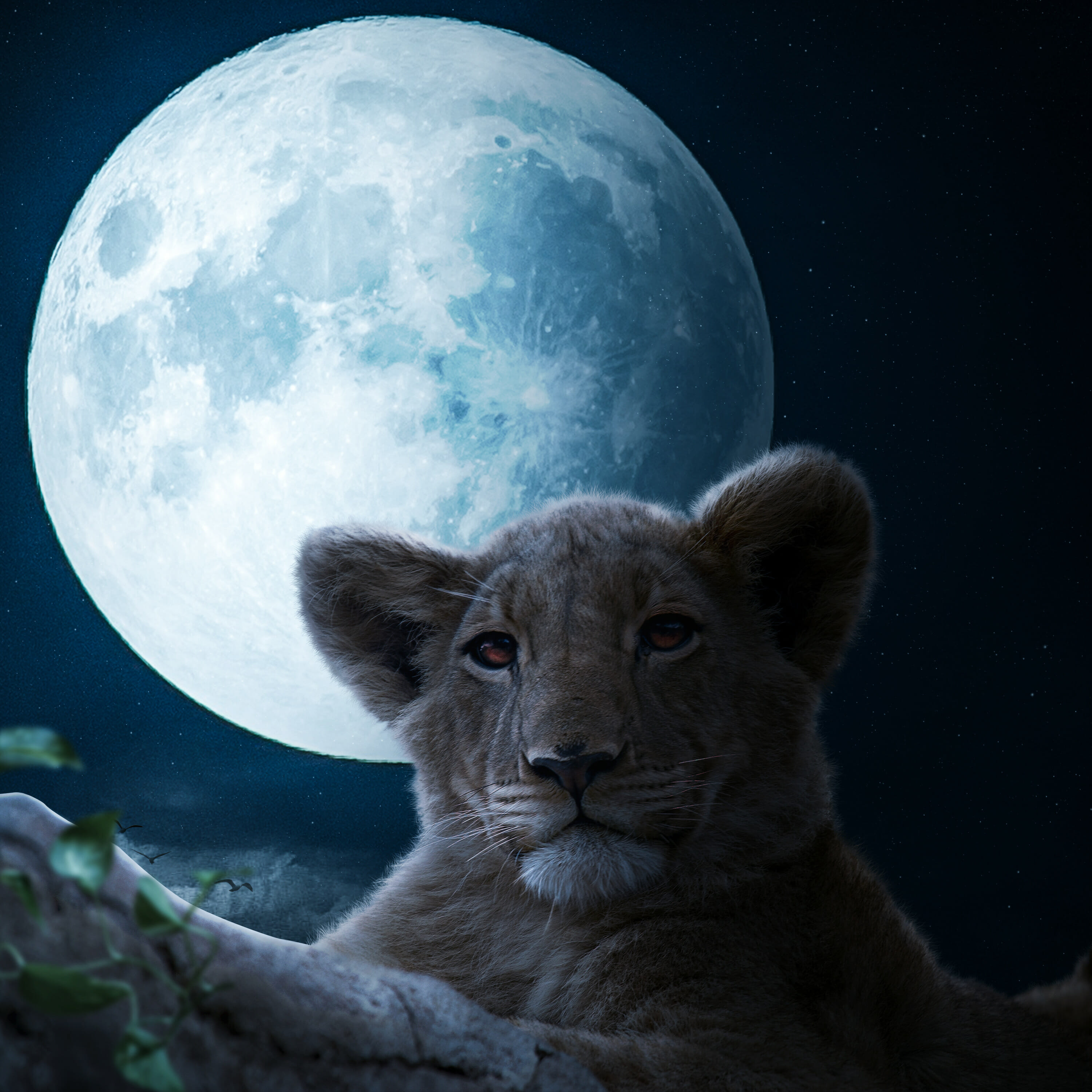 King Lion Photoshop Tutorial