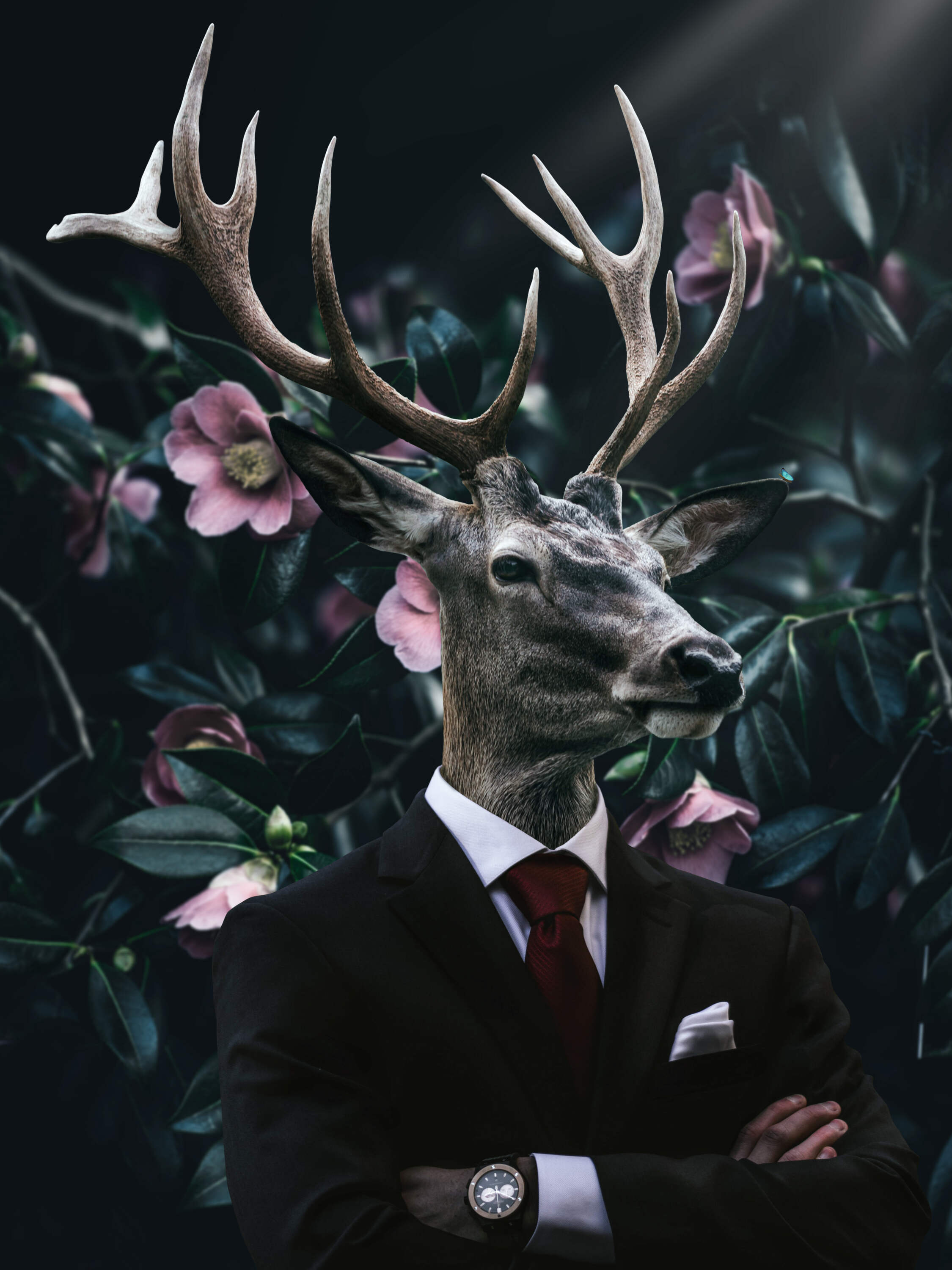 Create a Surreal Portrait of an animal in a human suit Photomanipulation