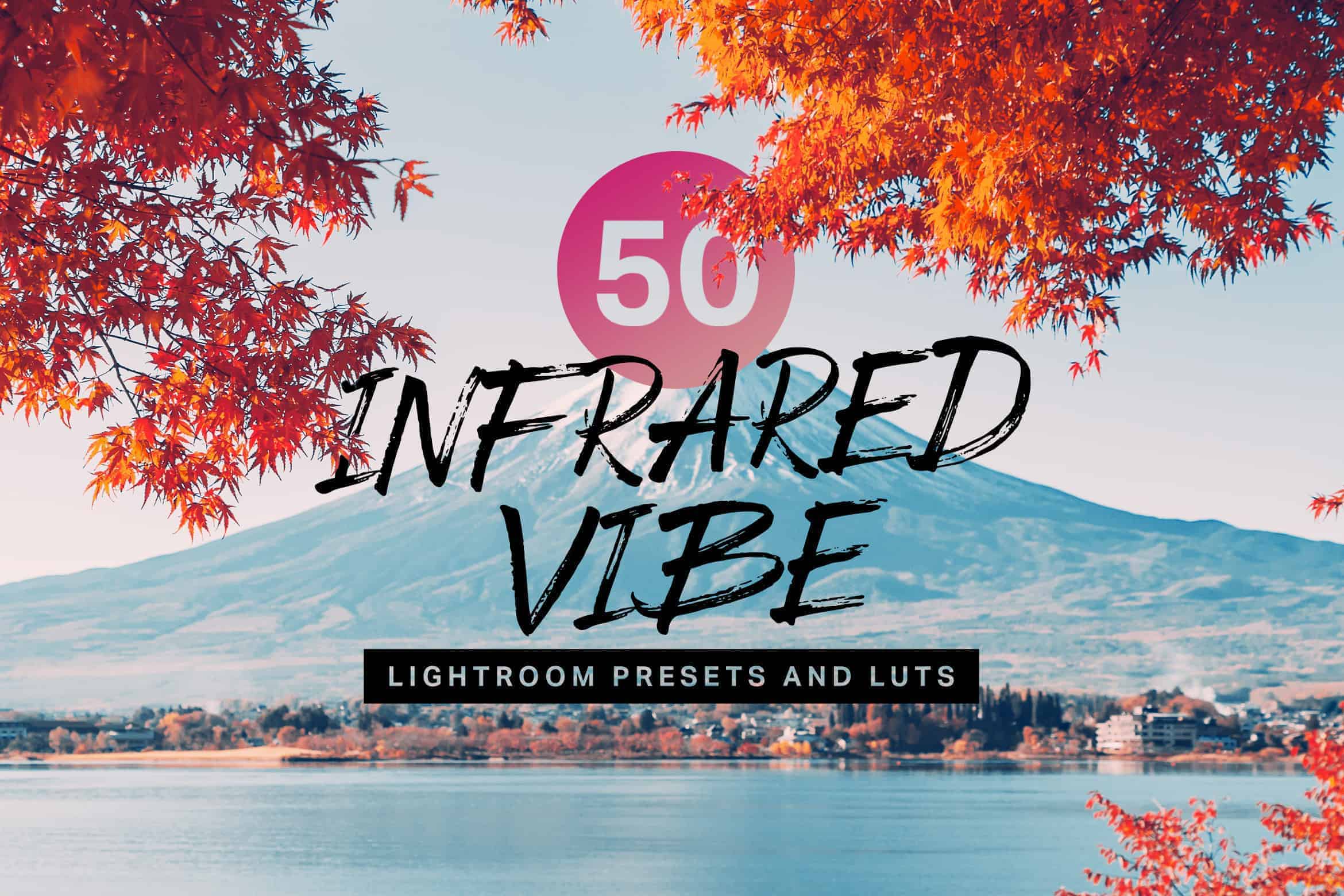 10 Infrared Vibe Lightroom Presets