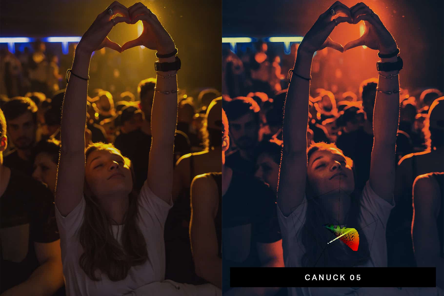 10 Concert Lightroom Presets Tutorials